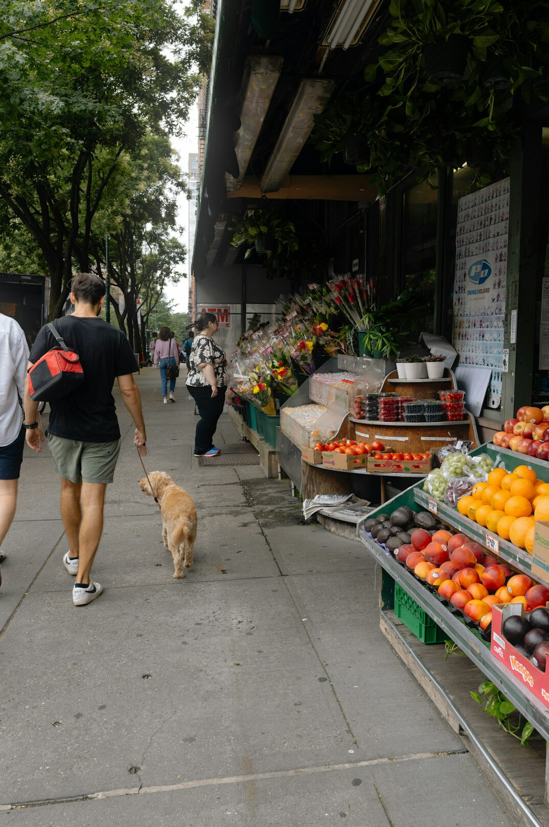 Fresh produce stalls at an outdoor city farmers market